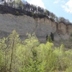 Hirschkopf