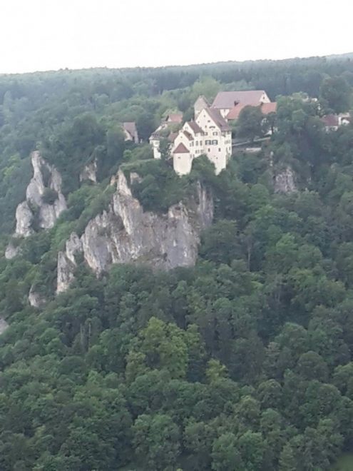 15d04533038