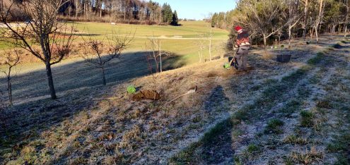 IMG_20201128_093521
