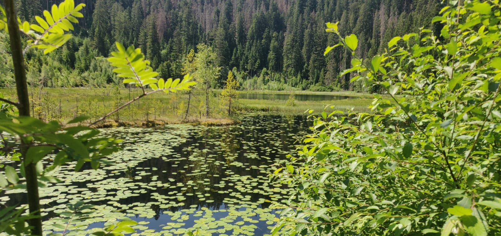 IMG-20230624-WA0008
