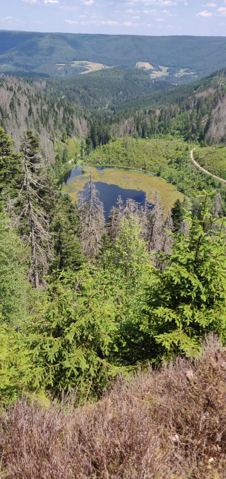 IMG-20230624-WA0009